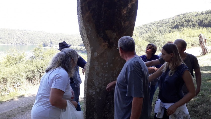 Chemin de la sculpture