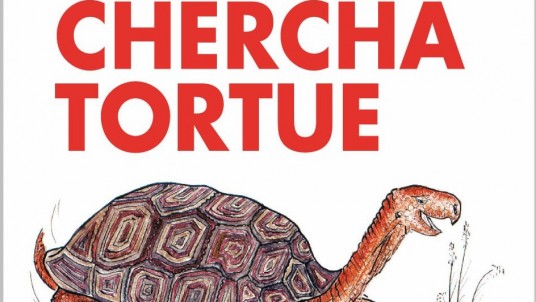 Et l'on chercha tortue